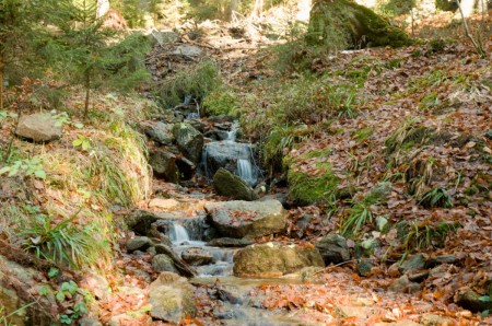 boubin kubova hut 2019