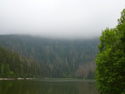 Ple&scaron;n&eacute; jezero v roce2005.