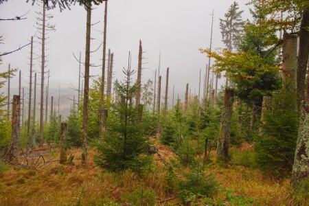 plechy stozecka kaple