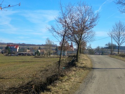 vyrezana cesta ovcin2008